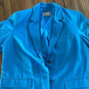 Everlane Vibrant Blue Women's Blazer